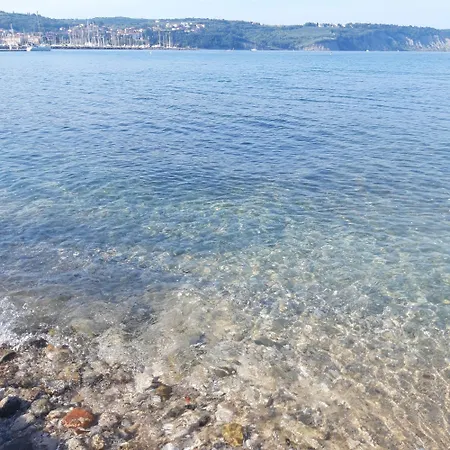 Dolce Amaro * Izola